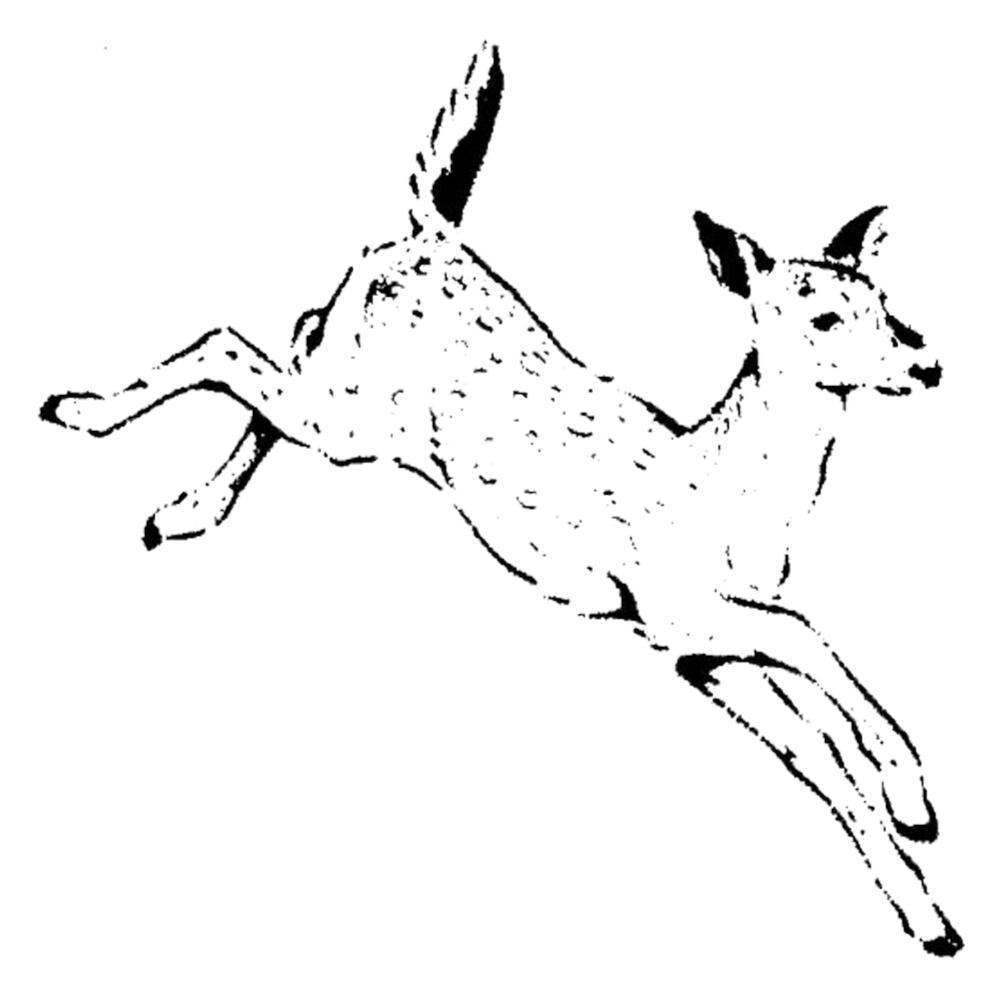 Description of image